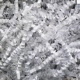 Crinkle Cut Shred - White
