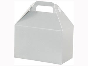 pi-box-gable-box-silver