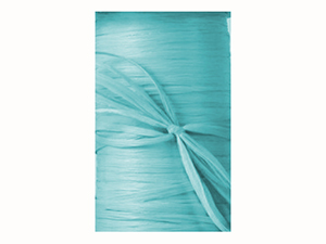 pi-ribbon-matte_wraphia-robins-egg-blue