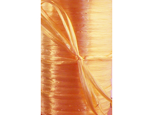 pi-ribbon-pearlized_wraphia_gold2