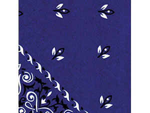 pi-tissue_paper-blue-bandanna-2